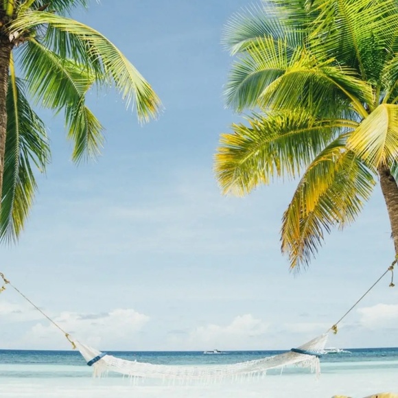 Meet your Posher, Remi - Picture 1 of 1